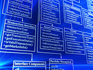 Software Development